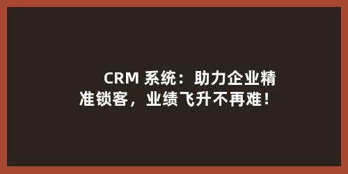 CRM 系统：助力企业精准锁客，业绩飞升不再难！